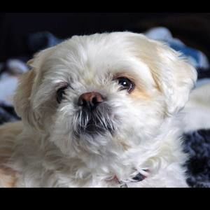 Meet your Posher, Tammy